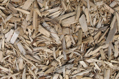 biomass boilers Ilderton